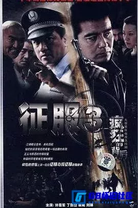 G8怀旧社区分享[疯狂的背后][百度网盘下载][国产怀旧剧][全集24全][国语中字][720P][20.29G][2007][丁勇岱 / 袁苑 / 许亚军 / 刘琳 / 赵毅维] 第1张截图