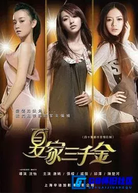 G8怀旧社区分享[夏家三千金][百度网盘下载][国产怀旧剧][全集40全1080P][37G][40集][MP4][国语中字][无台标无水印][2011][唐嫣] 第1张截图