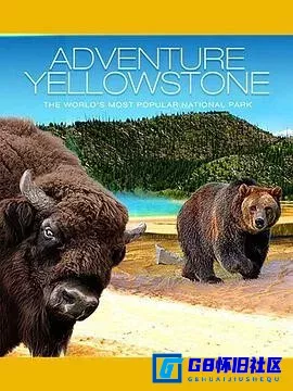 G8怀旧社区分享[国家公园历险记之黄石公园][百度网盘下载][美国怀旧电影][4K SDR 中字原盘REMUX珍藏版大小约24G][2011] 第1张截图