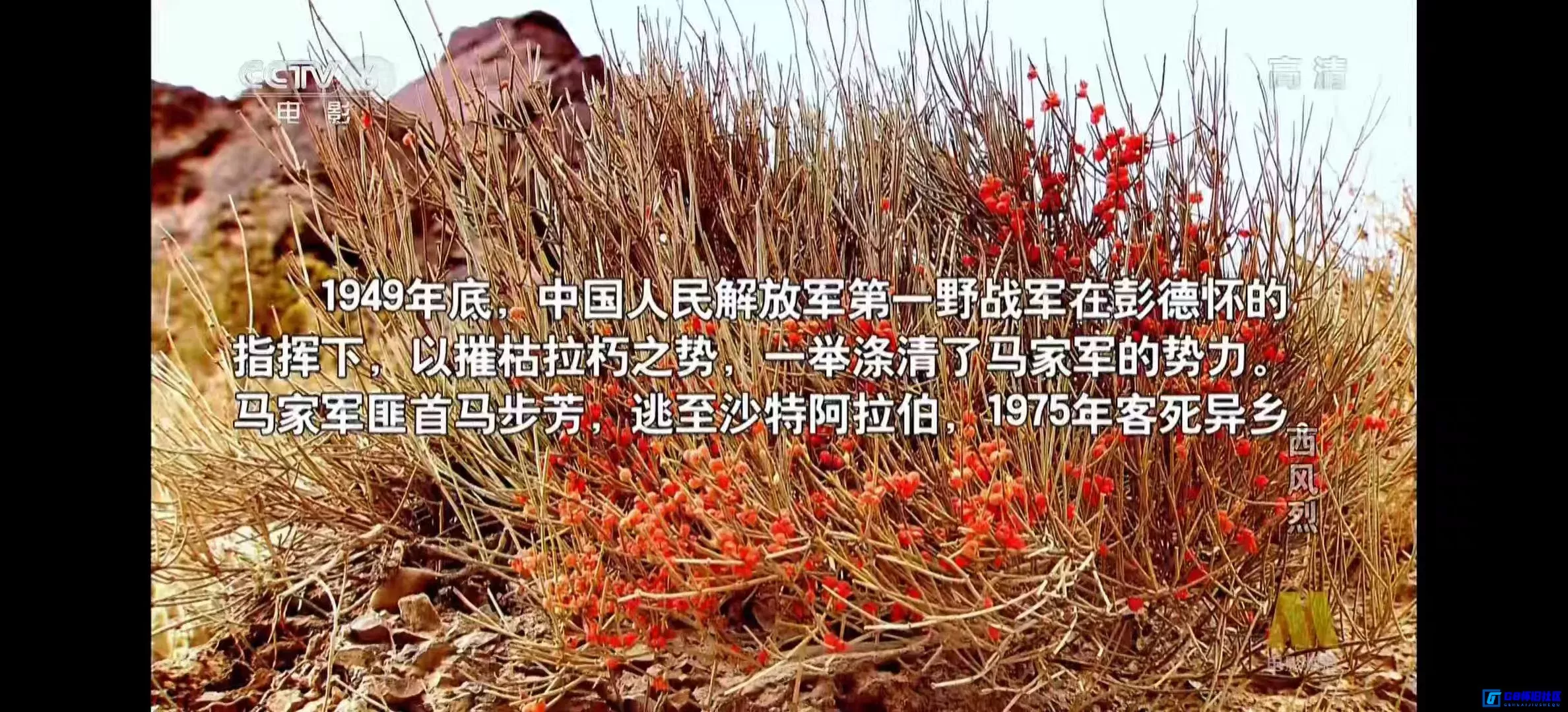 G8怀旧社区分享[西风烈][百度网盘下载][国产怀旧电影][大小约4.9G][2006][杨海超/韩立勇/孙曦霞][CCTV6高清频道版本][红军西路军题材] 第14张截图