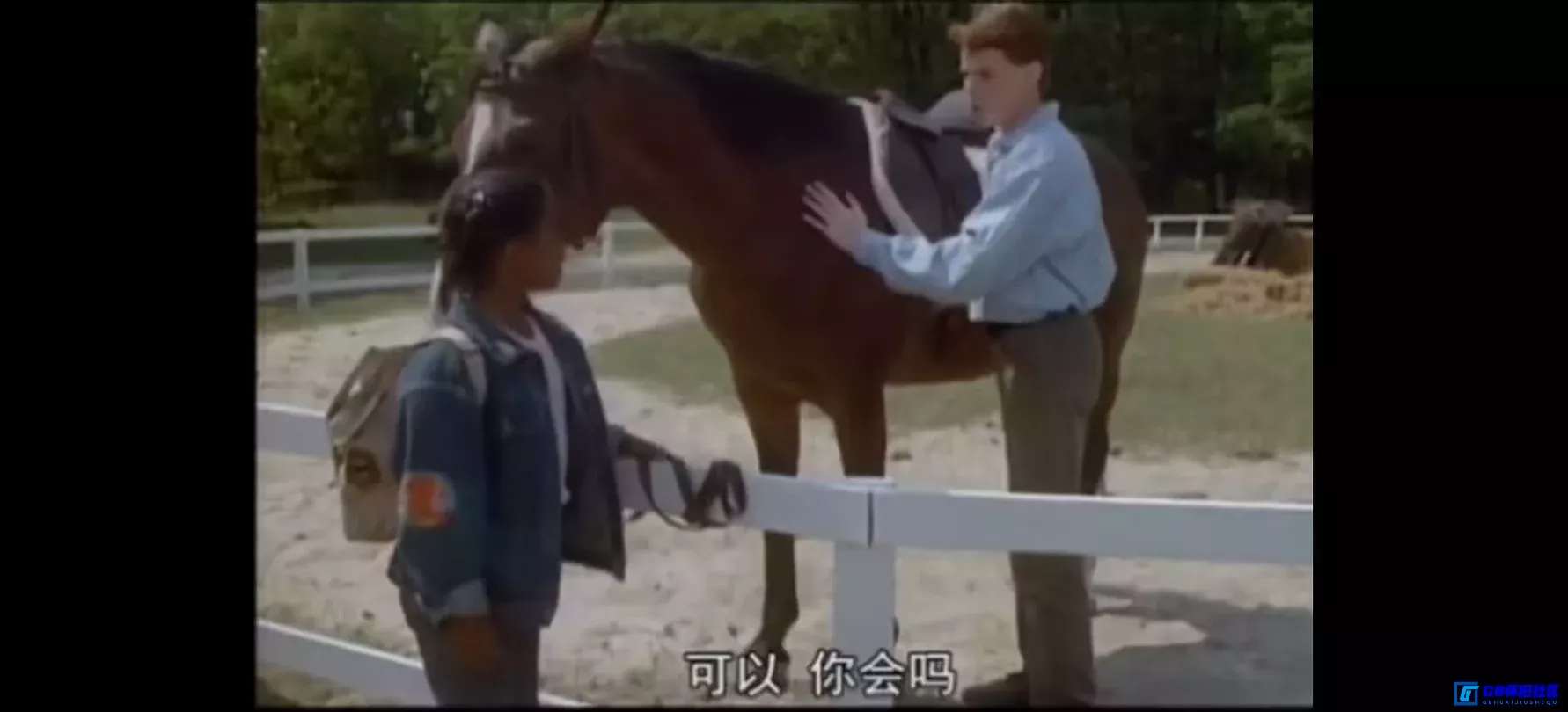 G8怀旧社区分享[误闯亚瑟王宫][百度网盘下载][美国怀旧电影][大小约640m][1989][凯西娅·奈特·普兰姆/吉恩·马修][正大剧场译制片系列] 第7张截图