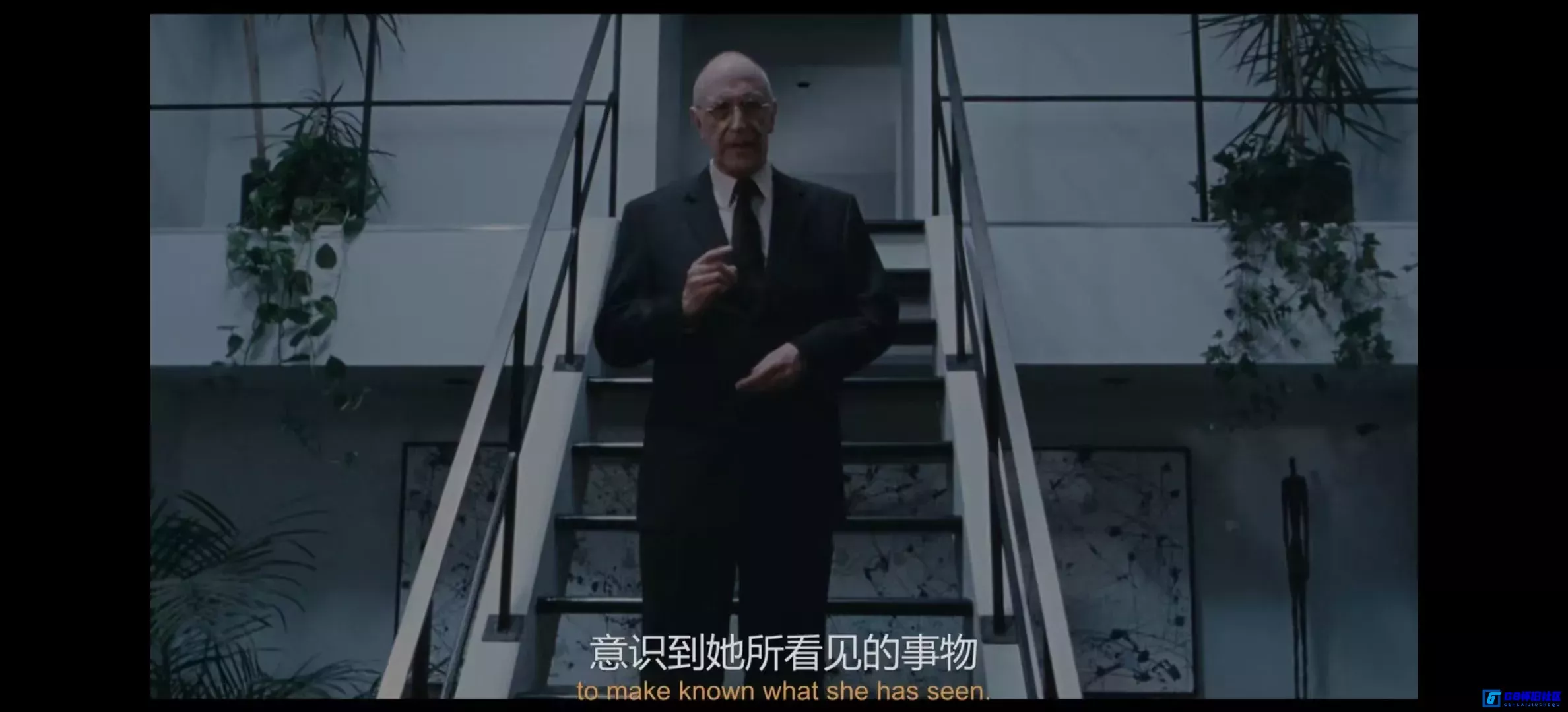 G8怀旧社区分享[殉难者 Martyrs][百度网盘下载][法国 / 加拿大怀旧恐怖电影][大小约11G][2008][蓝光4k珍藏版本][双语字幕] 第8张截图