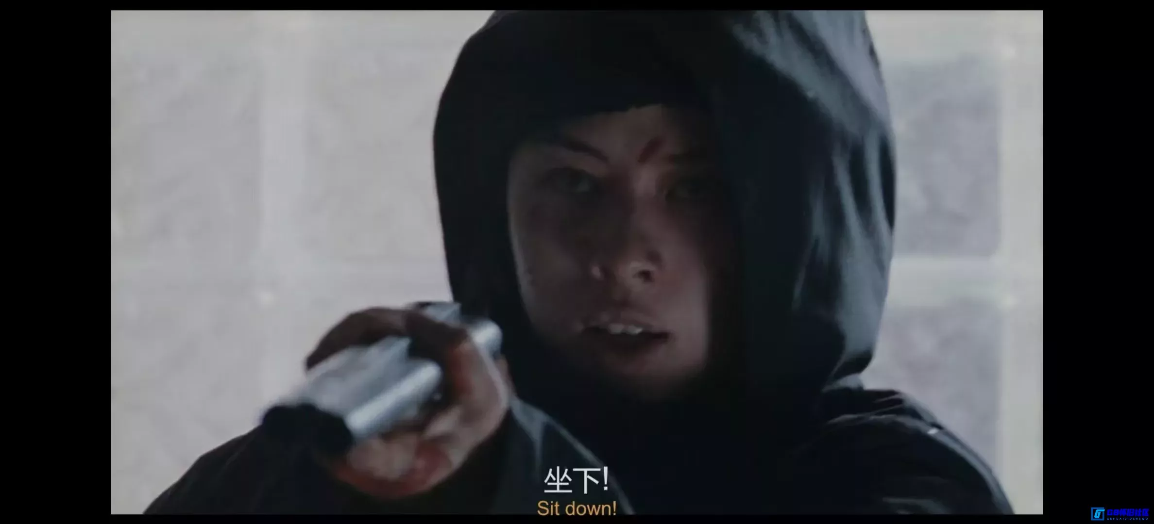 G8怀旧社区分享[殉难者 Martyrs][百度网盘下载][法国 / 加拿大怀旧恐怖电影][大小约11G][2008][蓝光4k珍藏版本][双语字幕] 第11张截图