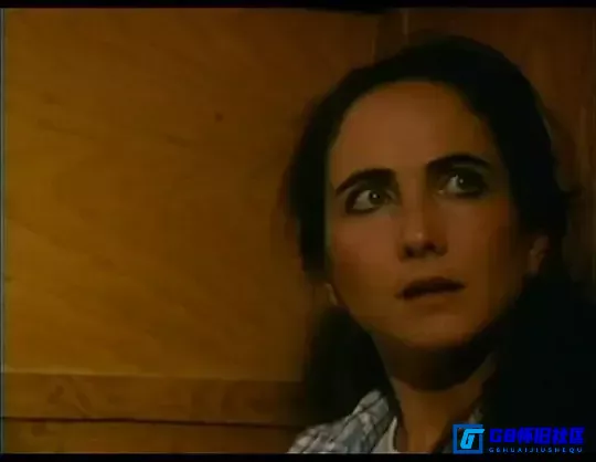 G8怀旧社区分享【百度云】 [ 美国] 黑色遗产 Dark Heritage (1989) 480px264【国语】 mkv  1.39G 第7张截图