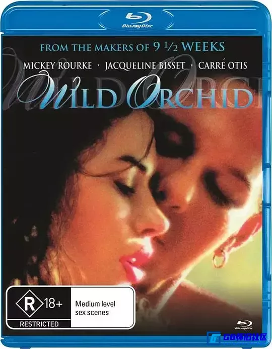 G8怀旧社区分享【百度云】 [ 美国] 野兰花 Wild Orchid (1990) 1080px264 【国英双语】 mkv  2.21G 第1张截图