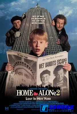 G8怀旧社区分享[小鬼当家2 Home Alone 2: Lost in New York][115网盘下载][美国怀旧电影][大小约12.73G][1992][麦考利·卡尔金 / 乔·佩西] 第1张截图