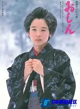 G8怀旧社区分享[阿信 おしん][百度网盘下载][日本怀旧剧][全集297全每集约    ][1983] 第1张截图