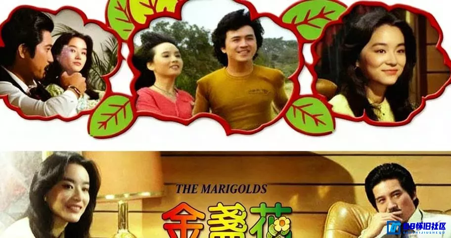 G8怀旧社区分享[金盏花][香港怀旧电影][115网盘分享][4K国语中字][2.47G][1980年][林青霞、秦汉、马永霖] 第1张截图