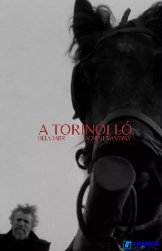 G8怀旧社区分享[都灵之马][美国怀旧电影][迅雷网盘分享][2011][蓝光1080p 中文字幕][原盘REMUX珍藏版] 第1张截图