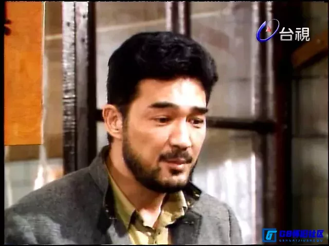 G8怀旧社区分享[芙蓉镇][台湾怀旧剧][百度网盘分享][480P/MP4共9.14G][赵雅芝/沈孟生/江明][1990][国语中字] 第9张截图