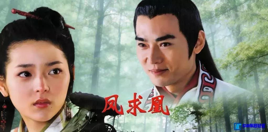 G8怀旧社区分享[凤求凰][2004年][115网盘分享下载][国产怀旧剧][DVD提取MKV格式共16.23G] 第1张截图