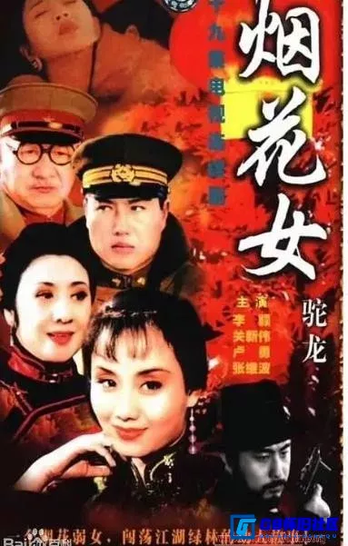 G8怀旧社区分享[烟花女驼龙][国产怀旧剧][百度网盘分享][TS格式][每集200多M][2001][李颖 / 张继波 / 关新伟 / 卢勇] 第1张截图